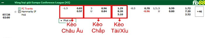 Fb88 bảng kèo trận đấu Twente vs Hammarby