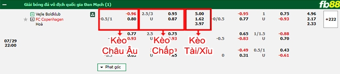 Fb88 bảng kèo trận đấu Vejle vs Copenhagen