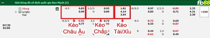 Fb88 bảng kèo trận đấu Viborg vs Lyngby