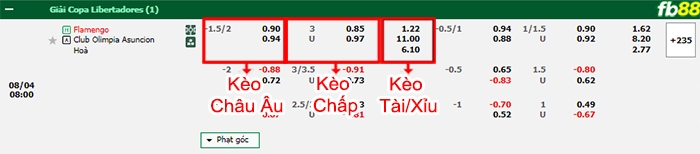 Fb88 bảng kèo trận đấu Flamengo vs Olimpia Asuncion