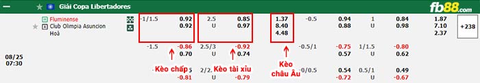 fb88-bảng kèo trận đấu Fluminense vs Olimpia Asuncion