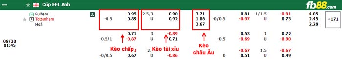 fb88-bảng kèo trận đấu Fulham vs Tottenham