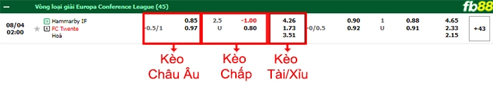 Fb88 bảng kèo trận đấu Hammarby vs Twente