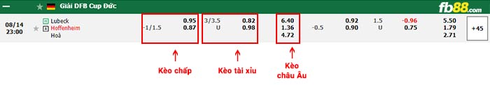 fb88-bảng kèo trận đấu Lubeck vs Hoffenheim