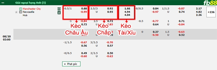 Fb88 bảng kèo trận đấu Man City vs Newcastle