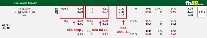 fb88-bảng kèo trận đấu Nu Nhat Ban vs Nu Thuy Dien