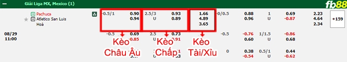 Fb88 bảng kèo trận đấu Pachuca vs San Luis