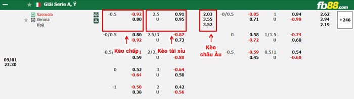 fb88-bảng kèo trận đấu Sassuolo vs Hellas Verona