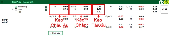Fb88 bảng kèo trận đấu Strasbourg vs Lyon