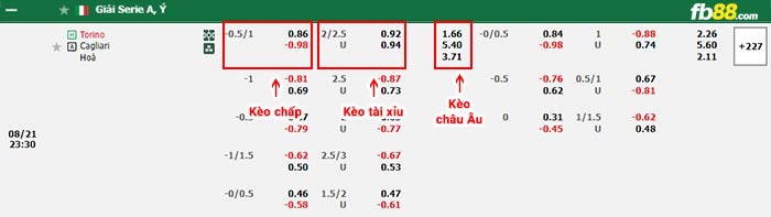 fb88-bảng kèo trận đấu Torino vs Cagliari