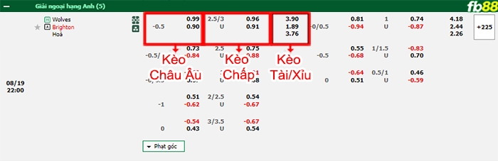Fb88 bảng kèo trận đấu Wolves vs Brighton