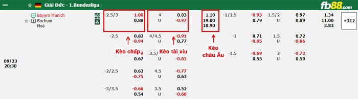 fb88-bảng kèo trận đấu Bayern Munich vs Bochum