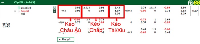 Fb88 bảng kèo trận đấu Brentford vs Arsenal