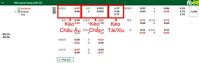 Fb88 bảng kèo trận đấu Brentford vs Everton