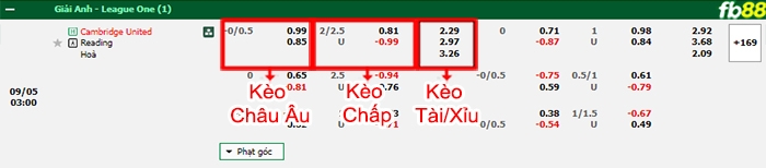 Fb88 bảng kèo trận đấu Cambridge vs Reading