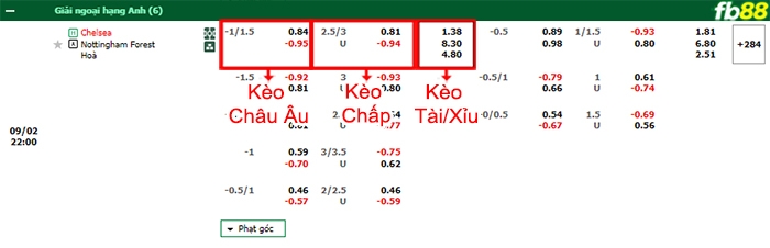Fb88 bảng kèo trận đấu Chelsea vs Nottingham