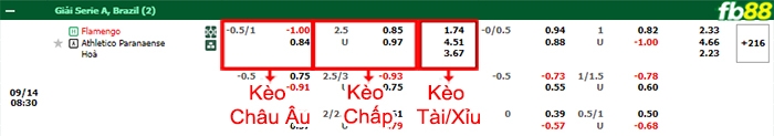 Fb88 bảng kèo trận đấu Flamengo vs Atletico Paranaense