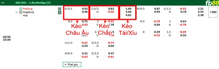 Fb88 bảng kèo trận đấu Freiburg vs Augsburg