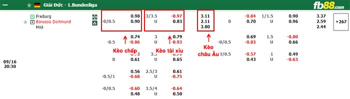 fb88-bảng kèo trận đấu Freiburg vs Dortmund
