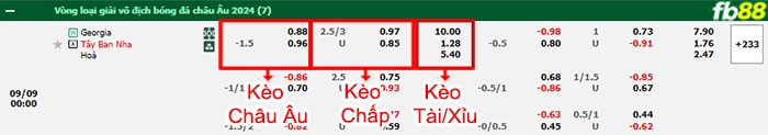 Fb88 bảng kèo trận đấu Georgia vs Tây Ban Nha