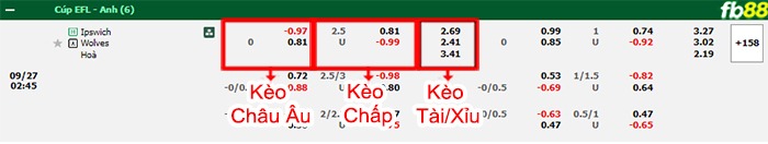 Fb88 bảng kèo trận đấu Ipswich vs Wolves