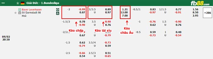 fb88-bảng kèo trận đấu Leverkusen vs Darmstadt