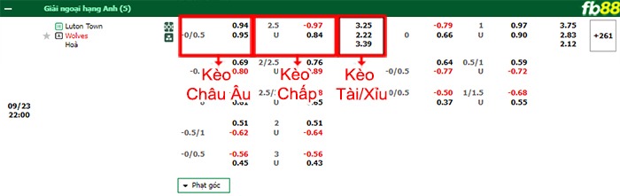 Fb88 bảng kèo trận đấu Luton Town vs Wolves