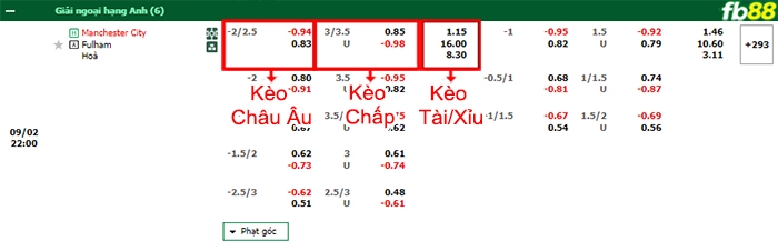 Fb88 bảng kèo trận đấu Man City vs Fulham