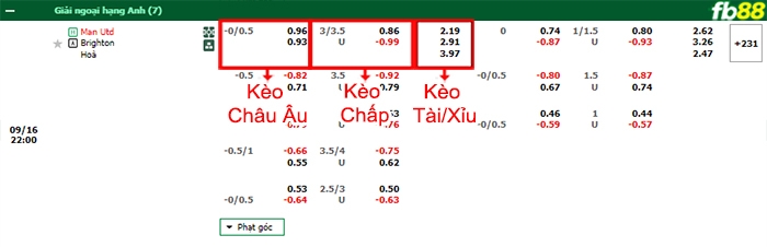 Fb88 bảng kèo trận đấu Man Utd vs Brighton