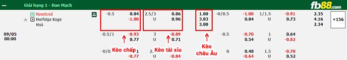 fb88-bảng kèo trận đấu Naestved vs HB Koge