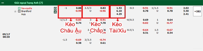 Fb88 bảng kèo trận đấu Newcastle vs Brentford