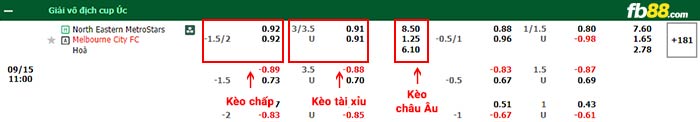 fb88-bảng kèo trận đấu North Eastern Metrostars vs Melbourne City