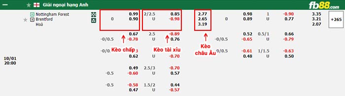 fb88-bảng kèo trận đấu Nottingham Forest vs Brentford