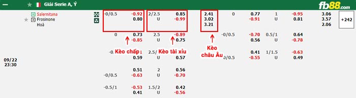 fb88-bảng kèo trận đấu Salernitana vs Frosinone