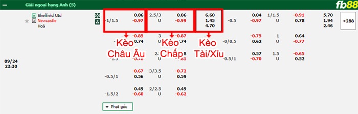 Fb88 bảng kèo trận đấu Sheffield United vs Newcastle
