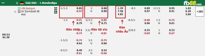 fb88-bảng kèo trận đấu Stuttgart vs Darmstadt