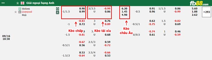 fb88-bảng kèo trận đấu Wolves vs Liverpool
