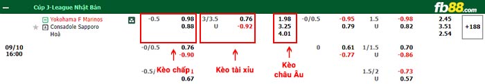 fb88-bảng kèo trận đấu Yokohama F Marinos vs Consadole Sapporo