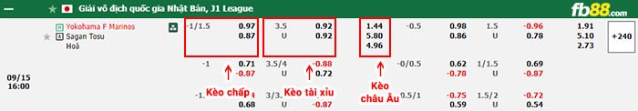 fb88-bảng kèo trận đấu Yokohama F Marinos vs Sagan Tosu