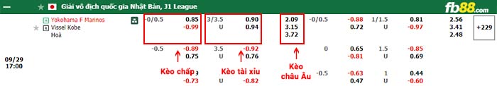 fb88-bảng kèo trận đấu Yokohama F Marinos vs Vissel Kobe