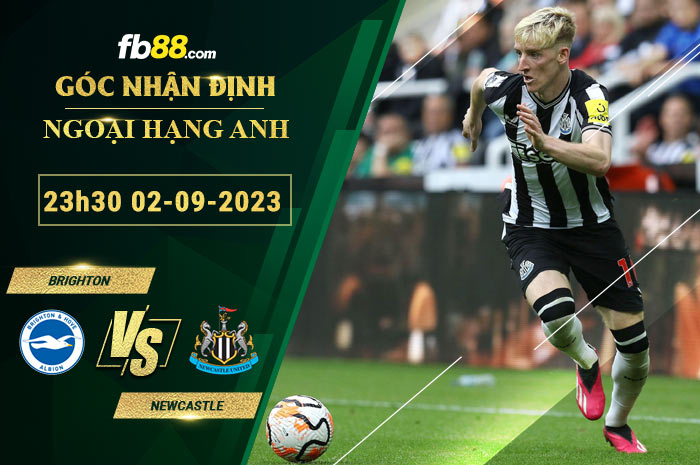 Fb88 soi kèo trận đấu Brighton vs Newcastle