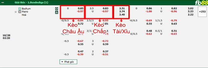 Fb88 bảng kèo trận đấu Bochum vs Mainz