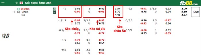 fb88-bảng kèo trận đấu Brighton vs Fulham