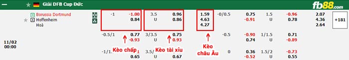 fb88-bảng kèo trận đấu Dortmund vs Hoffenheim
