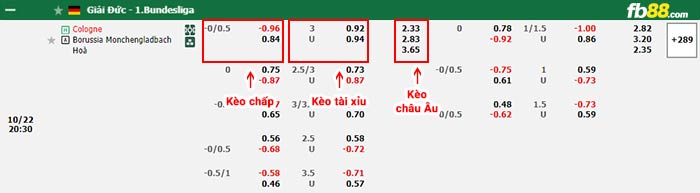 fb88-bảng kèo trận đấu Koln vs Monchengladbach