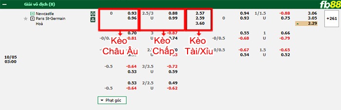 Fb88 bảng kèo trận đấu Newcastle vs PSG