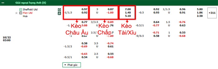Fb88 bảng kèo trận đấu Sheffield United vs Man Utd