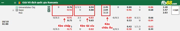 fb88-bảng kèo trận đấu Universitatea Cluj vs Sepsi OSK