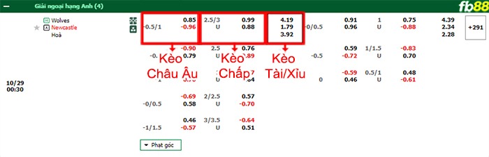 Fb88 bảng kèo trận đấu Wolves vs Newcastle