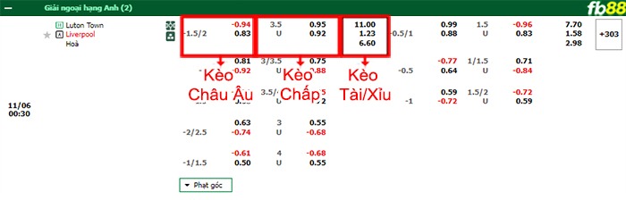 Fb88 bảng kèo trận đấu Luton vs Liverpool